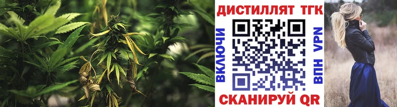 ТГК Wax  маркетплейс Telegram  Грайворон 